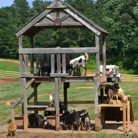 Cheap Goat Toys for Enrichment and Entertainment